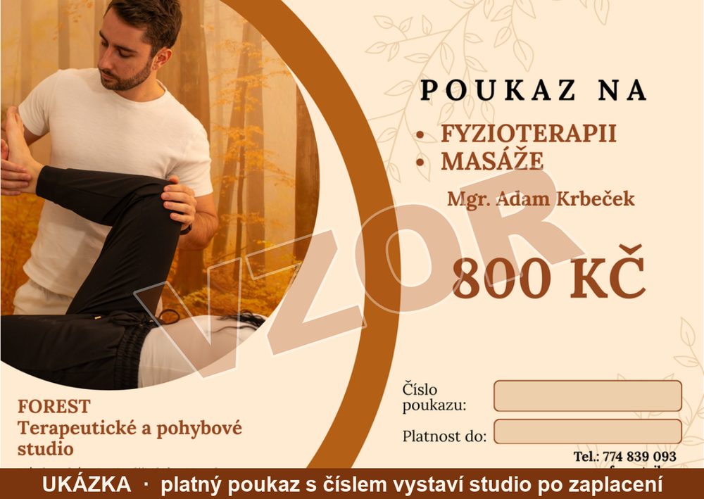 Vzor dárkového poukazu na fyzioterapii a masáže u Mgr. Adama Krbečka