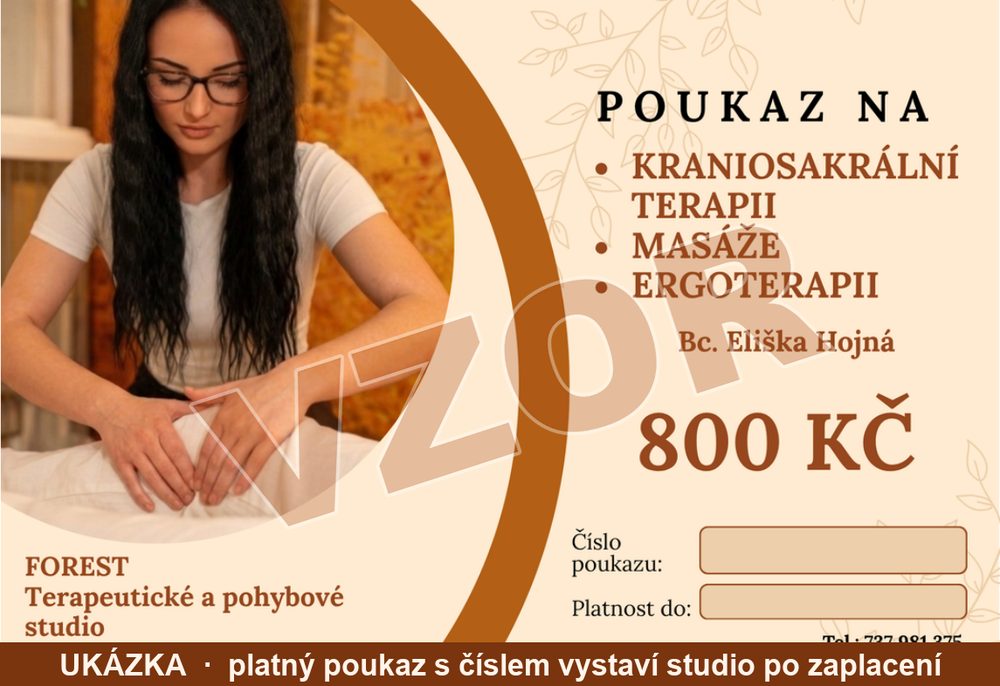 Vzor dárkového poukazu na kraniosakrální terapii, masáže a ergoterapii u Bc. Elišky Hojné